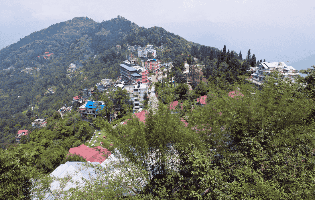Image 115